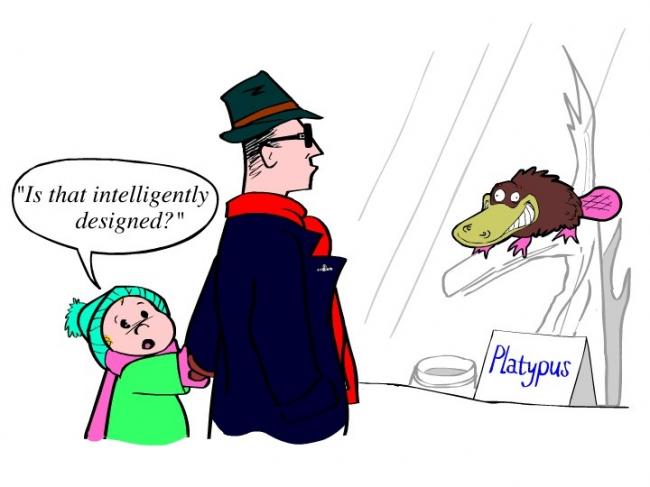 intelligent design